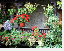 Die meisten Sichtschutzarten für den Garten sind oft auch für den Balkon verwendbar