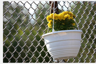 Ein Maschendrahtzaun mit Blumentopf. Die Maschen sind gute Rankhilfen für Kletterpflanzen