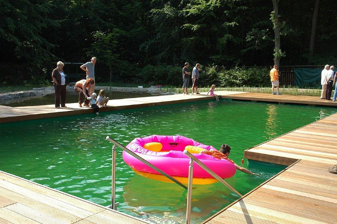 Schwimmteich und Naturpool kombiniert im Garten mit Menschen