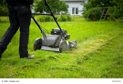Mulchmähen - Rasenmähen ohne Fangsack - gemähtes Gras ist der ideale Nährstoff für Ihren Boden